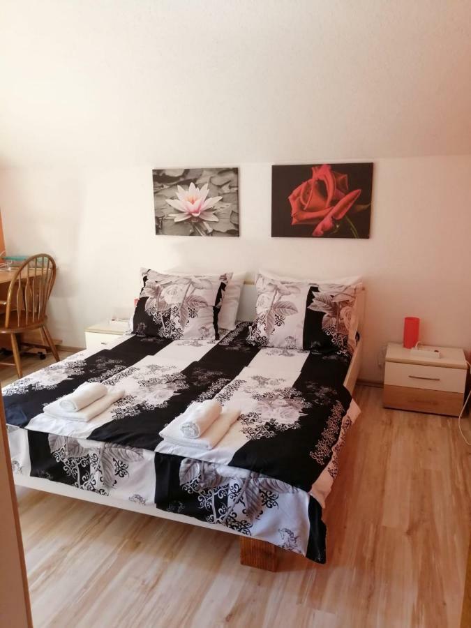 Apartman Franjicic Korenica Exteriér fotografie